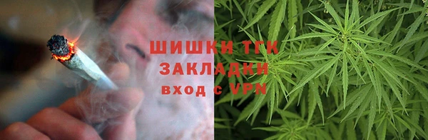 PSILOCYBIN Богородицк