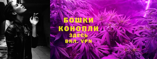 PSILOCYBIN Богородицк